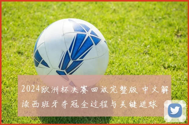 2024欧洲杯决赛回放完整版 中文解读西班牙夺冠全过程与关键进球